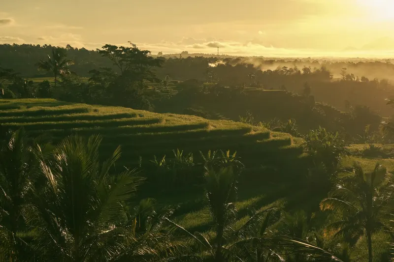 Ubud